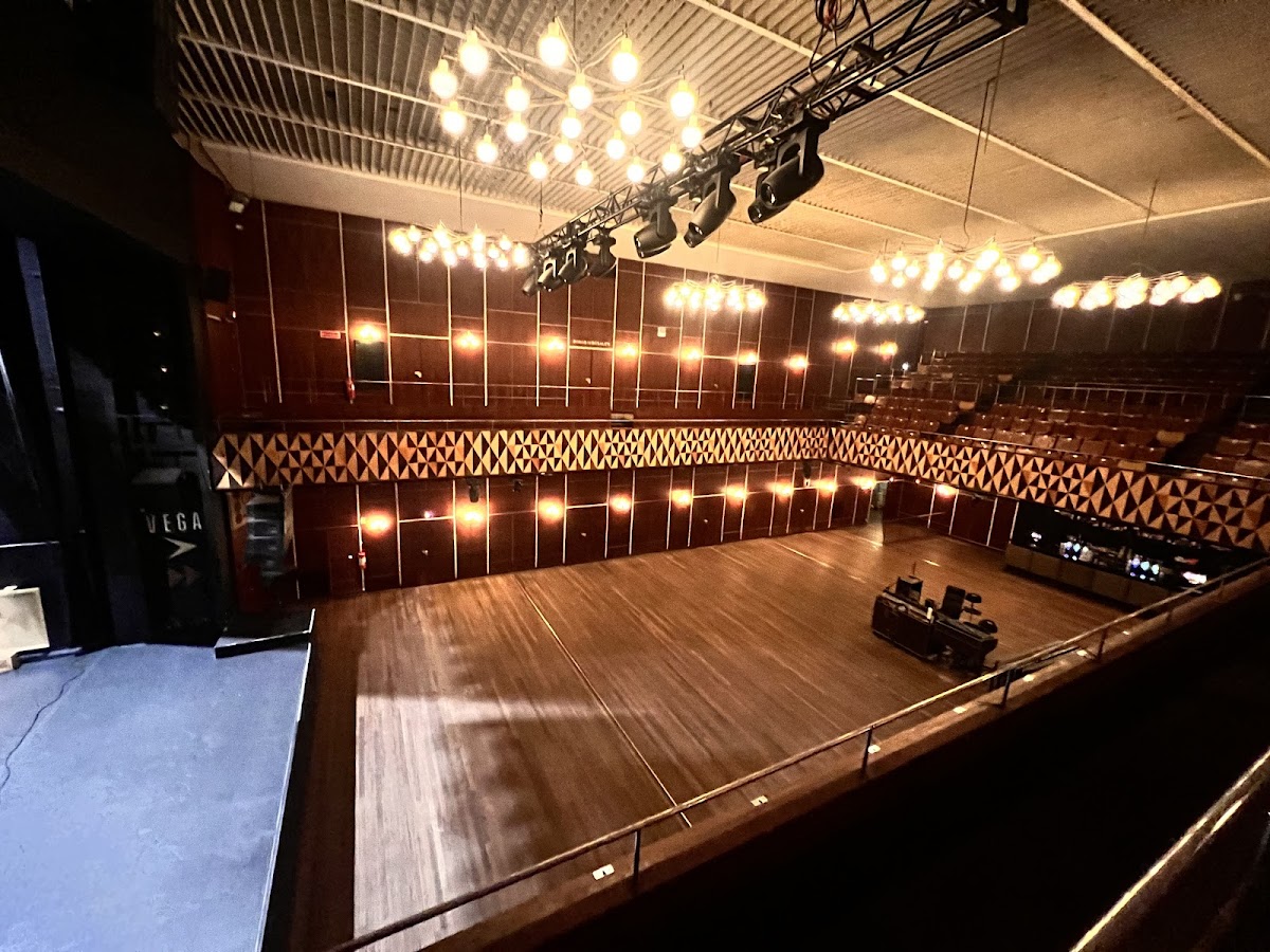 Vega, Copenhagen